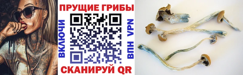 Псилоцибиновые грибы GOLDEN TEACHER ссылка на мегу как войти площадка какой сайт Разумное